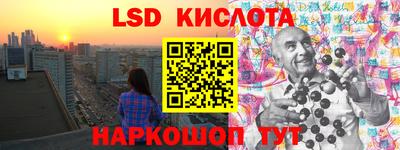 дмт Кингисепп
