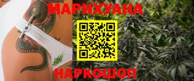 дмт Кингисепп