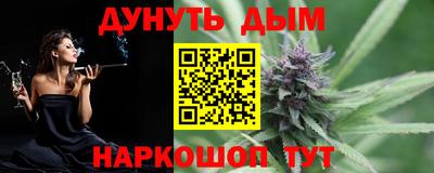дмт Кингисепп