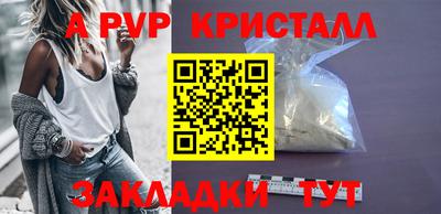дмт Кингисепп
