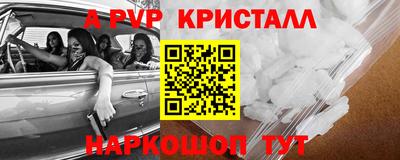 дмт Кингисепп